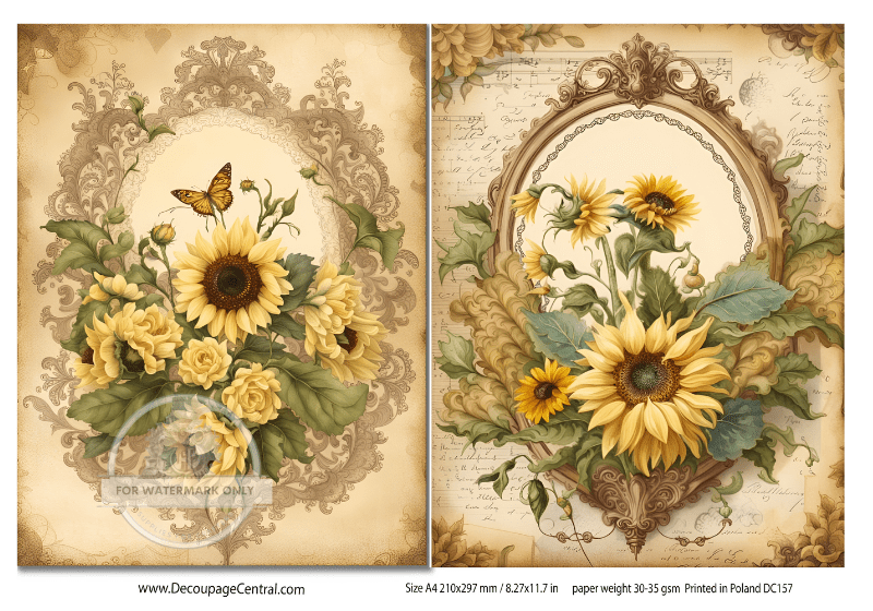 a4-sunflower-duo-rice-paper-dc157-5364428.png