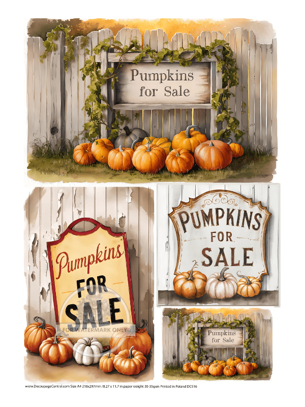 a4-pumpkins-for-sale-trio-rice-paper-dc516-4919733.png