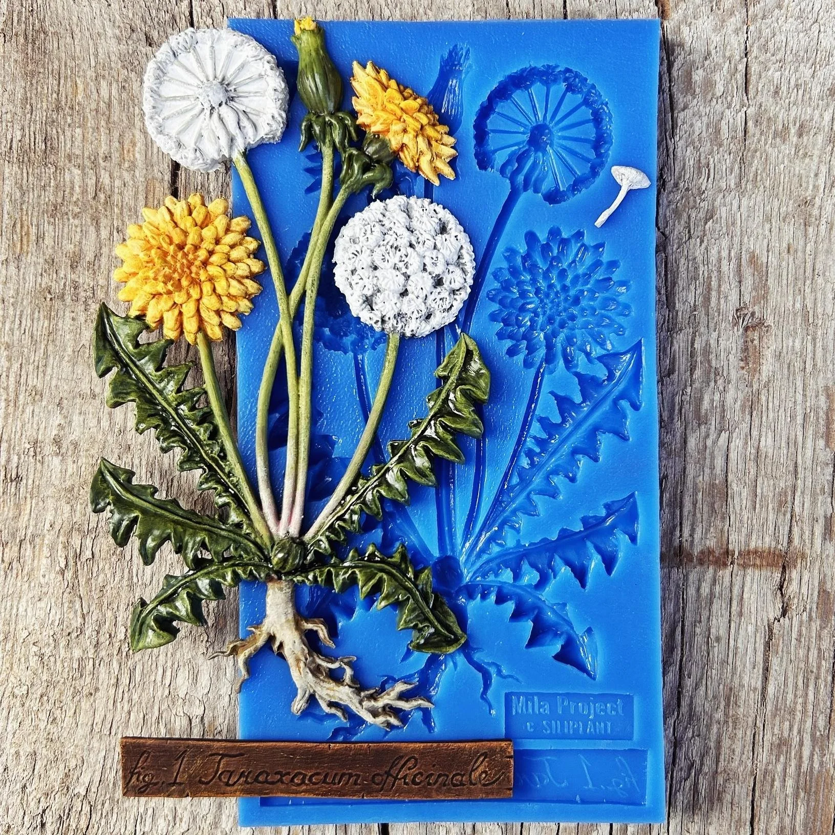 PRE-ORDER Dandy Dandelion
