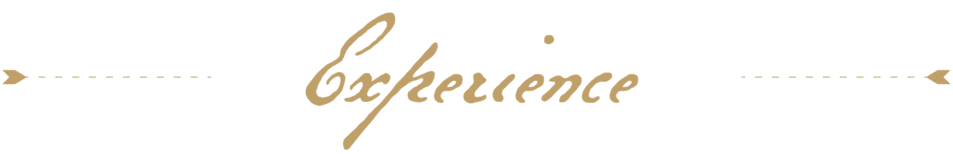 A decorative border with the word "Experience" in cursive script.