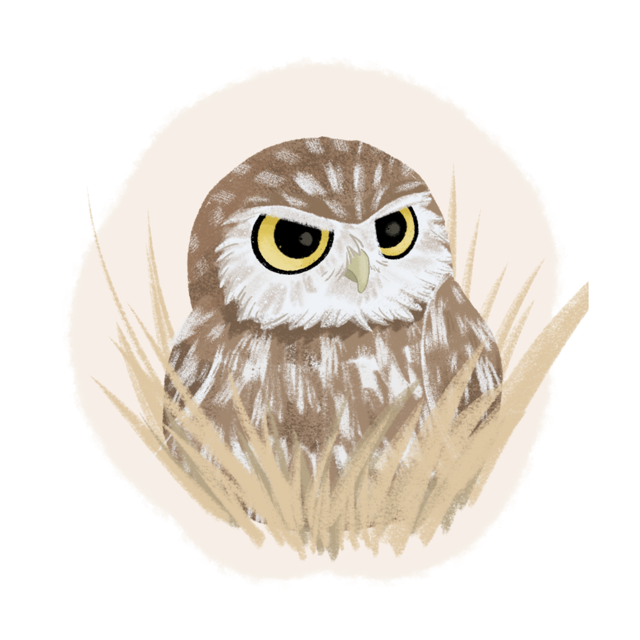 Untitled_Artwork (1).png