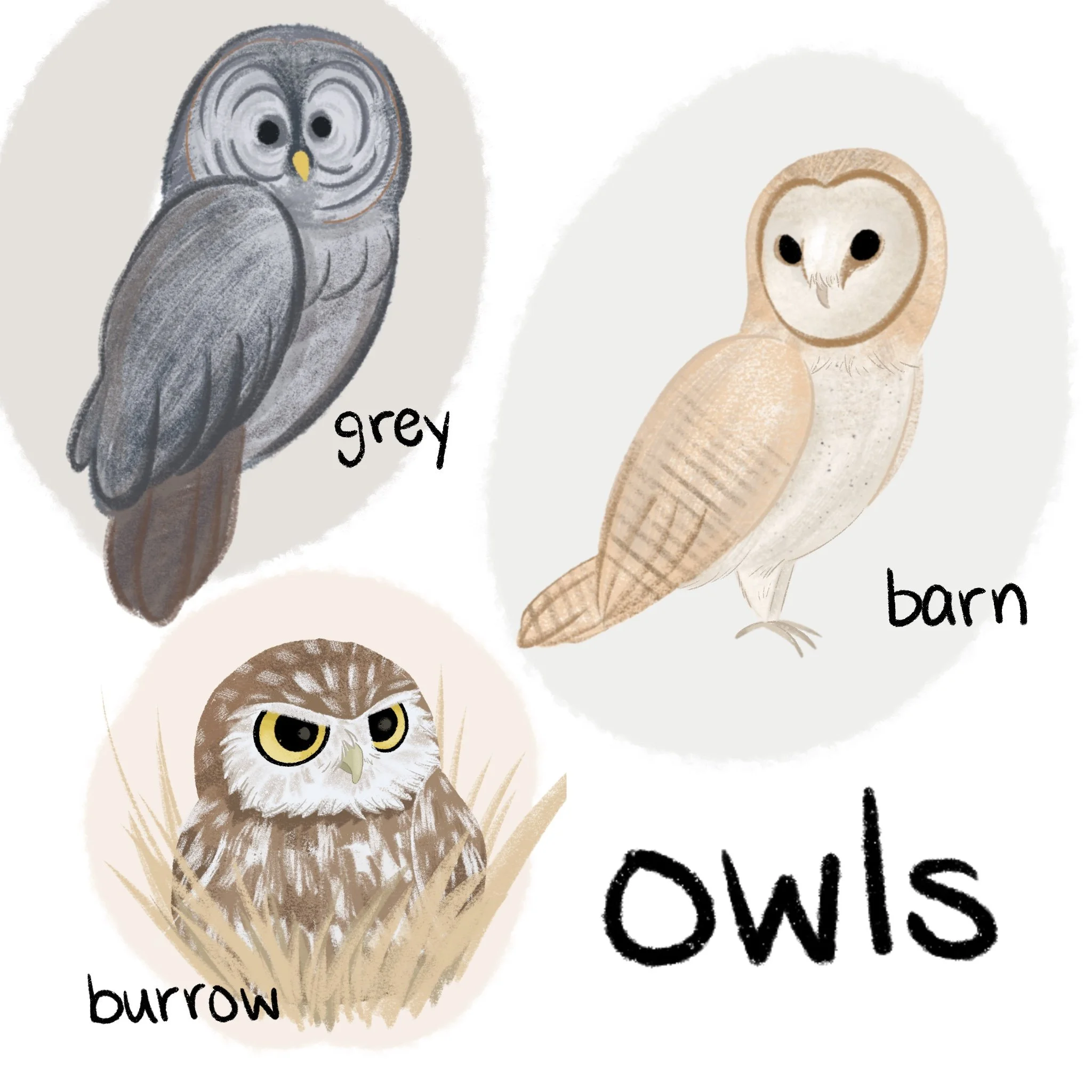 Untitled_Artwork 2.jpg