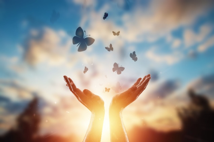 Hands reaching up towards the sky with butterflies flying above at sunset.
