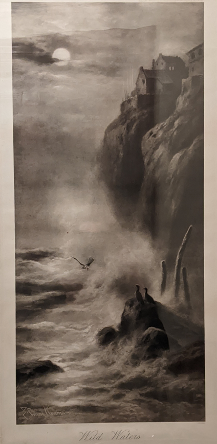 A moonlit seascape featuring rocky cliffs with houses on top, crashing waves, a sea bird flying, and two seals resting on rocks, titled "Wild Waters."