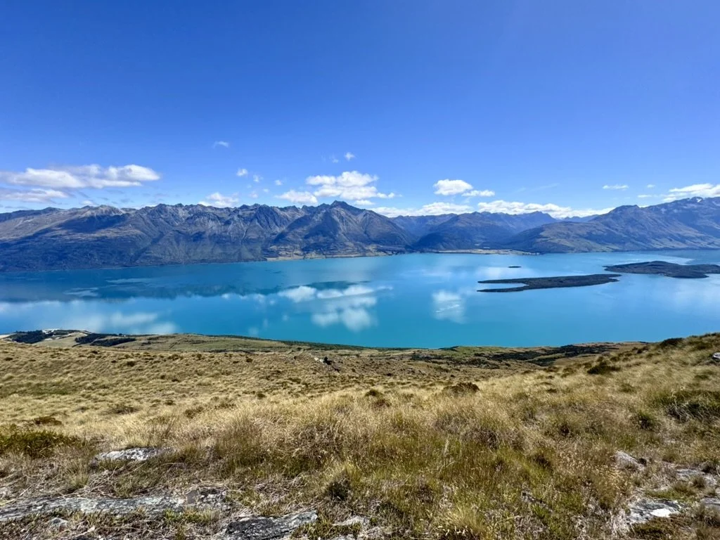 a7c162d98a7ea4df33ba72761c53a1242a5a9c6ec89948b0a29f067c81f02faf.jpg