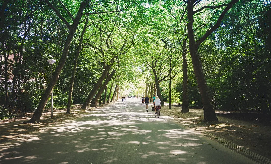 People walking and biking on a shaded pathway through a lush green park lined with trees.