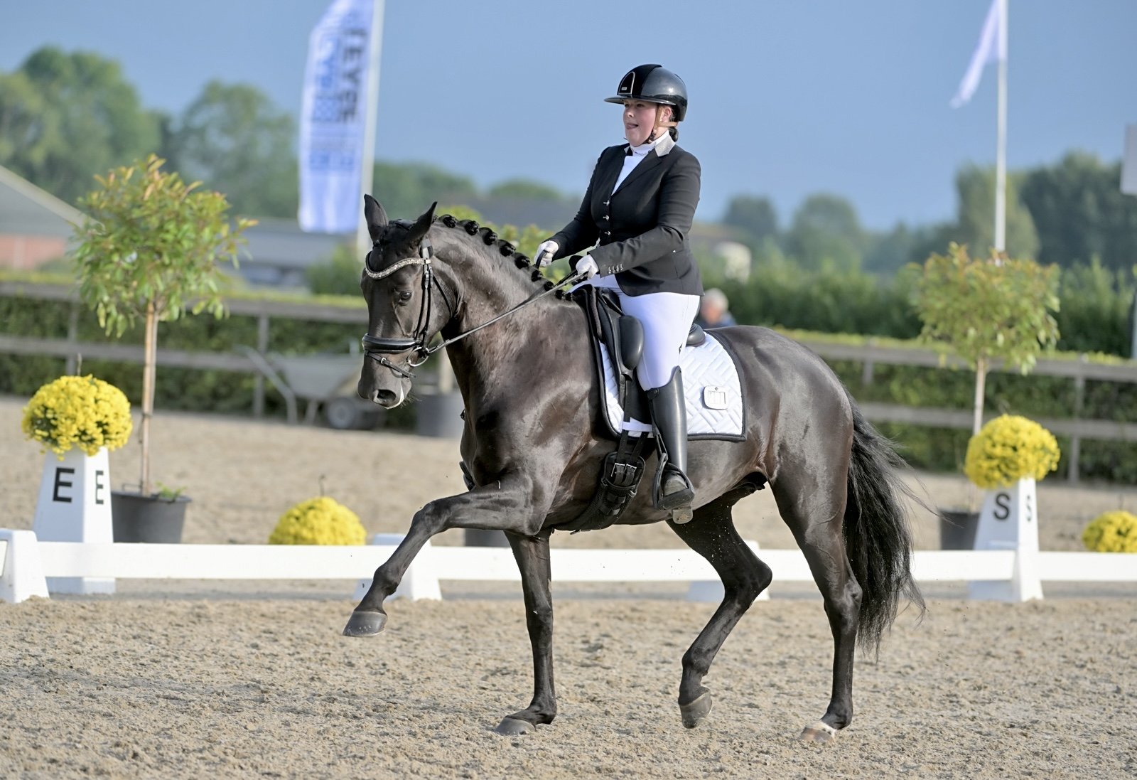 A woman dressed in a black riding jacket, white breeches, and a black helmet riding a gray horse in an outdoor dressage arena. The horse is performing a movement with one front leg raised, and the arena is decorated with yellow flowers and white dressage letters.