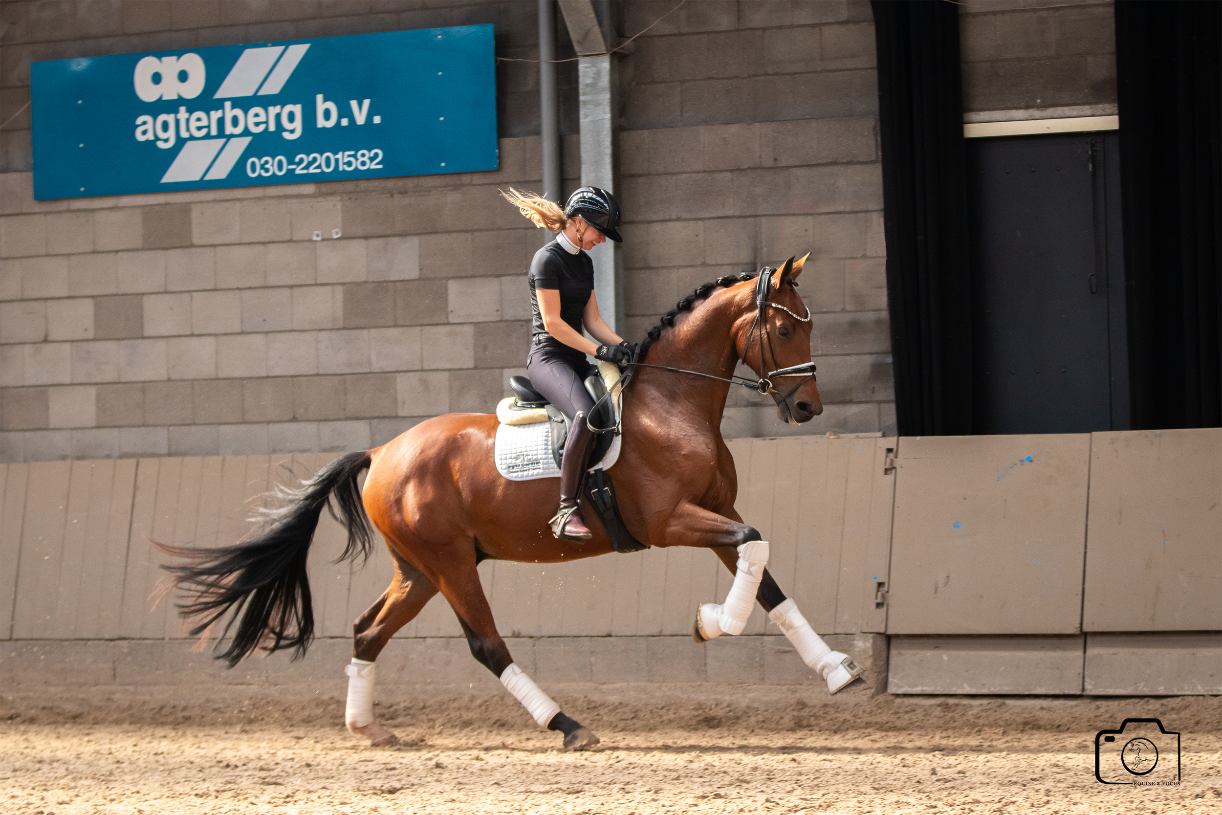 A female equestrian riding a brown horse inside an indoor arena, with the horse performing a trot and wearing white leg wraps.