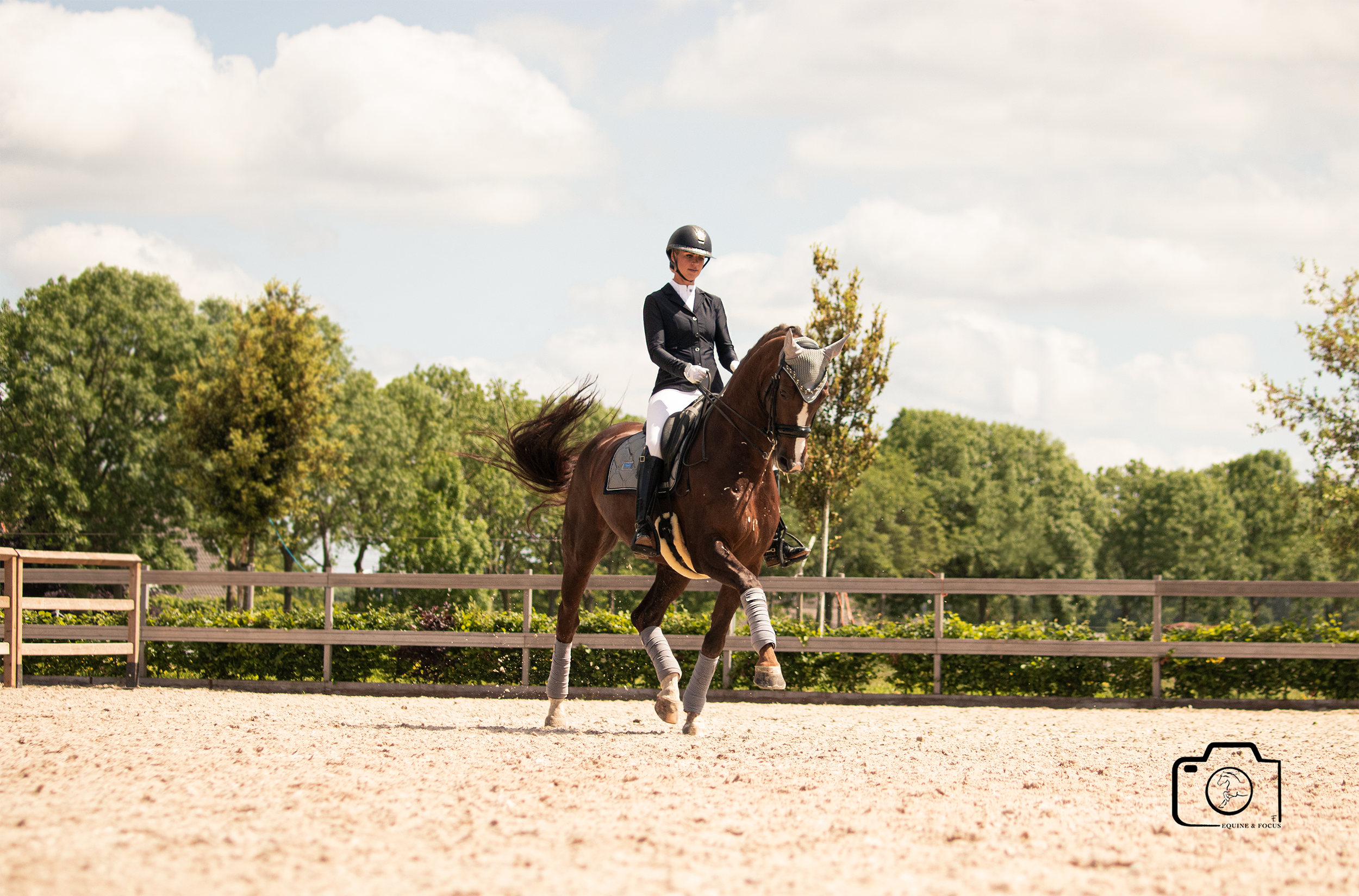 A female equestrian rider in black and white riding attire on a brown horse with leg wraps, performing a dressage routine in an outdoor riding arena with a sandy surface and a background of green trees under a partly cloudy sky.