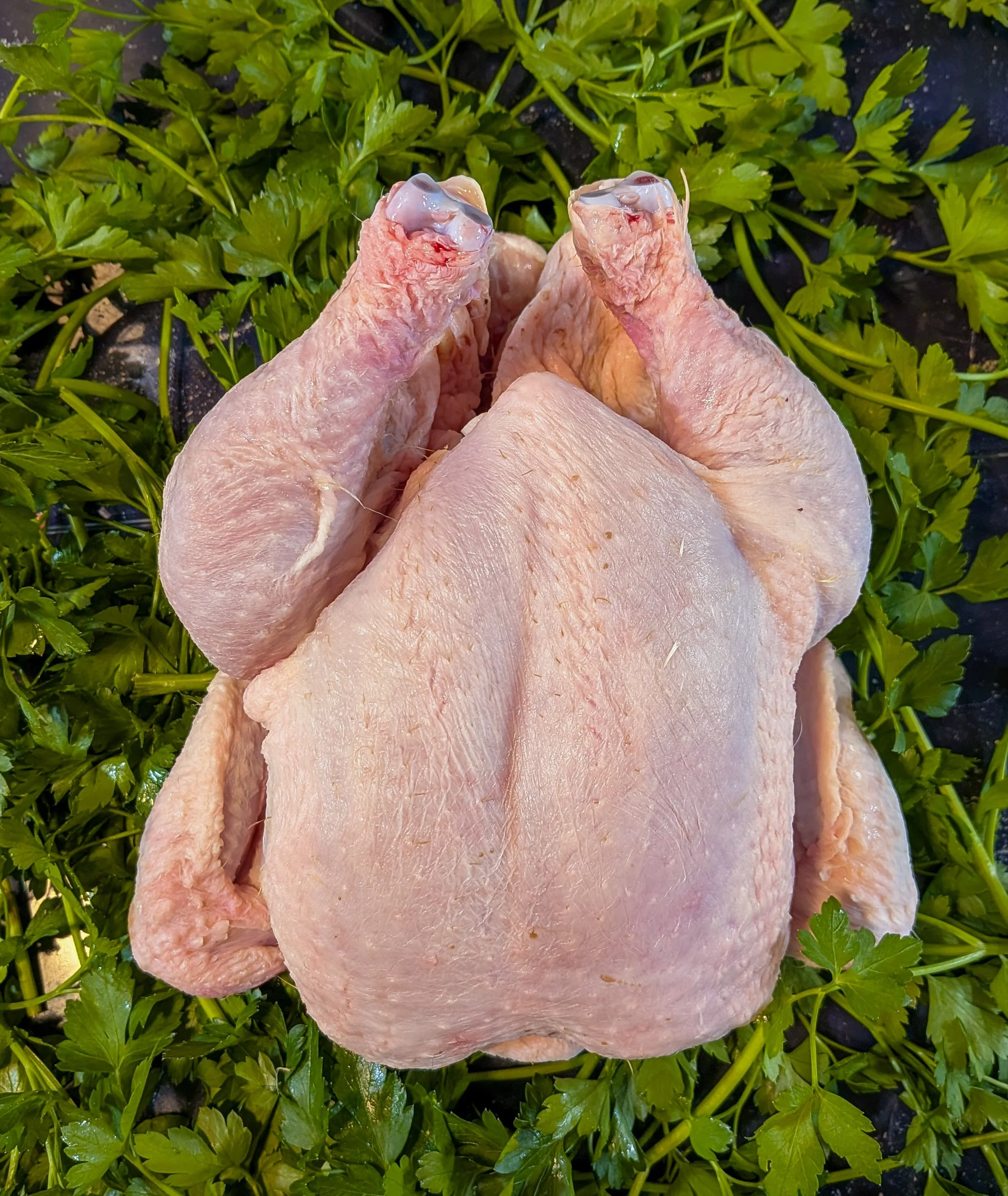 Fresh Whole Chicken