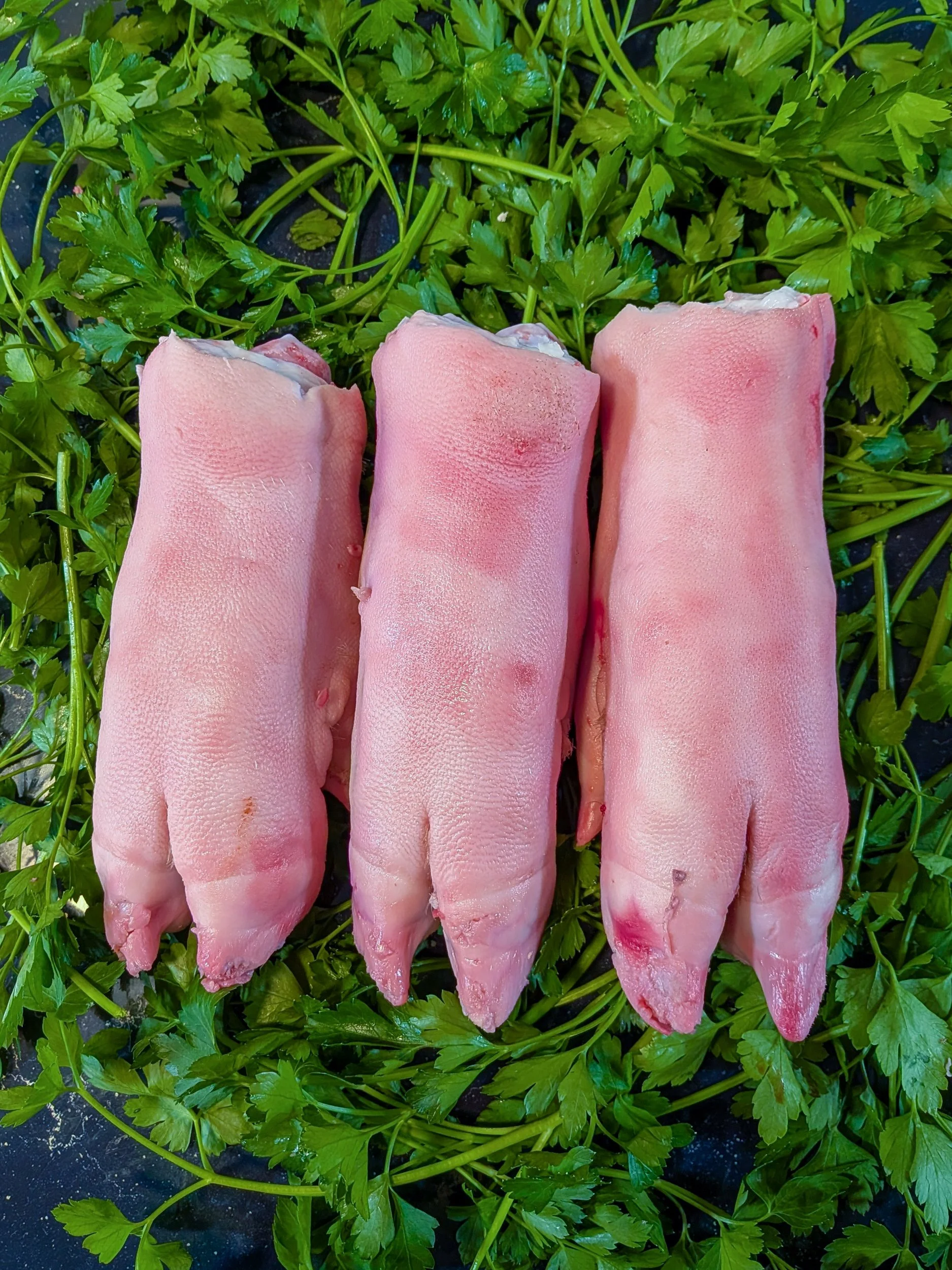 Pig Trotters