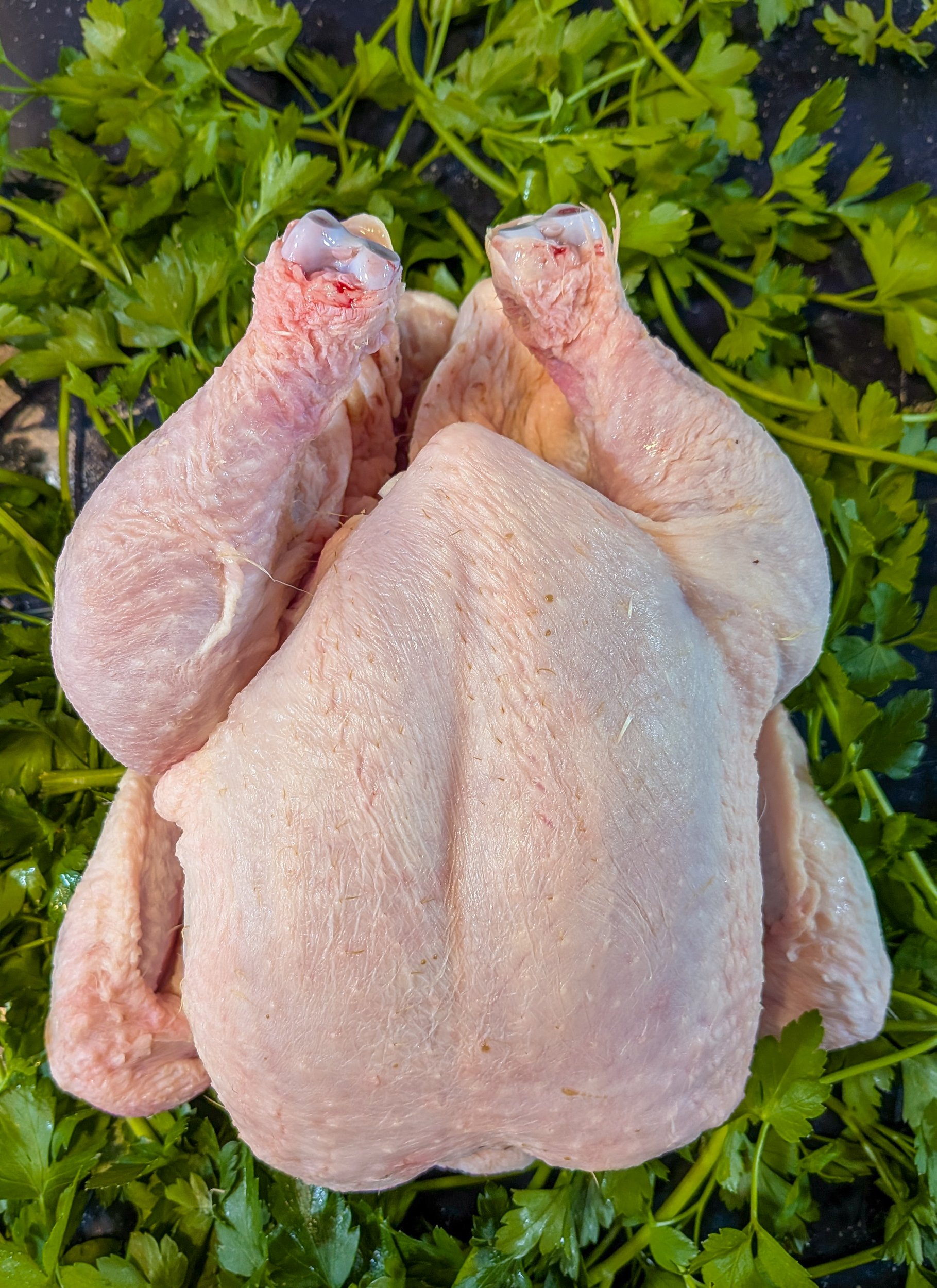 Fresh Whole Chicken - Quality Meats from Dickenson's of Fulham
