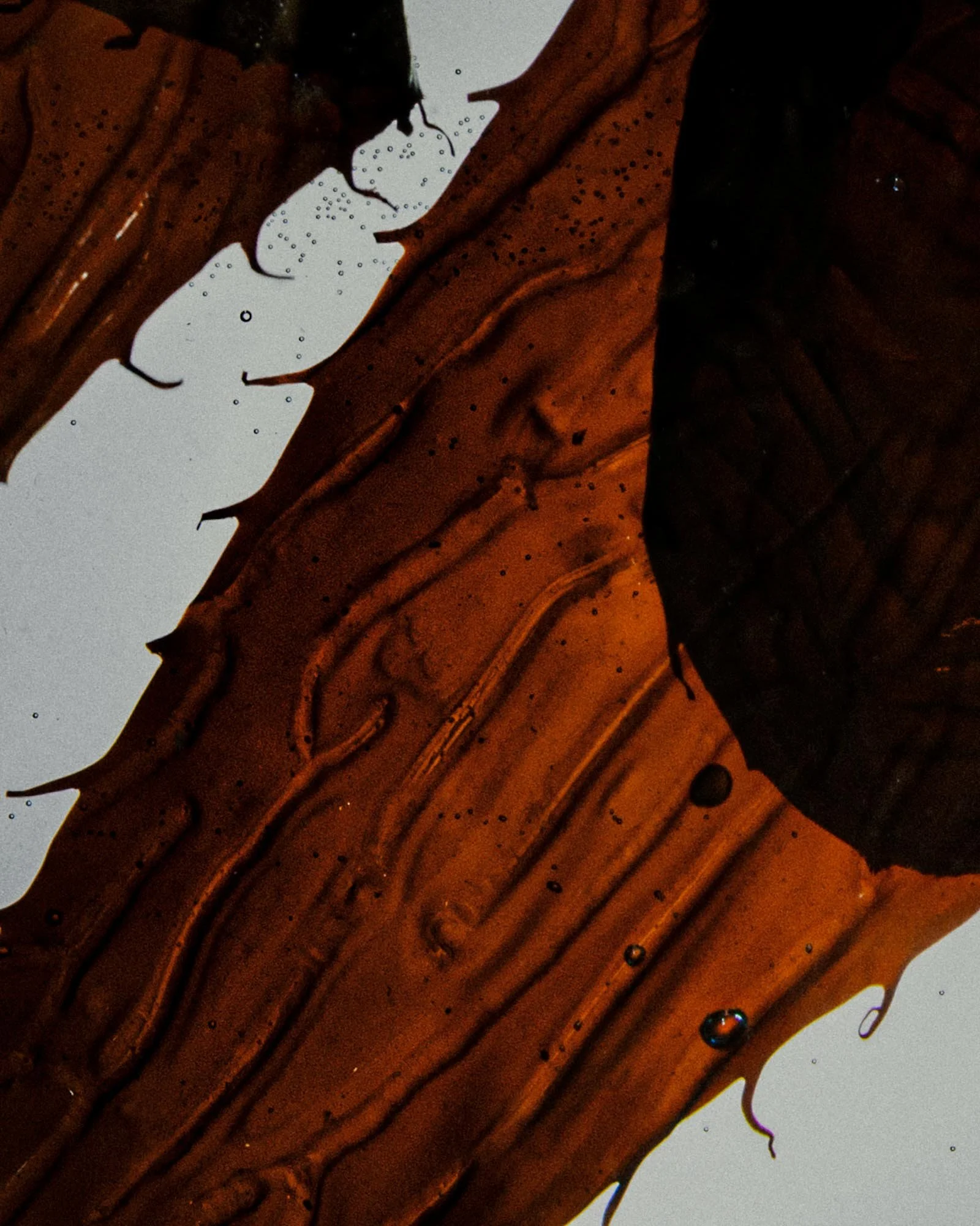 ALTERNA-MASQUE SHOOT0613.jpg