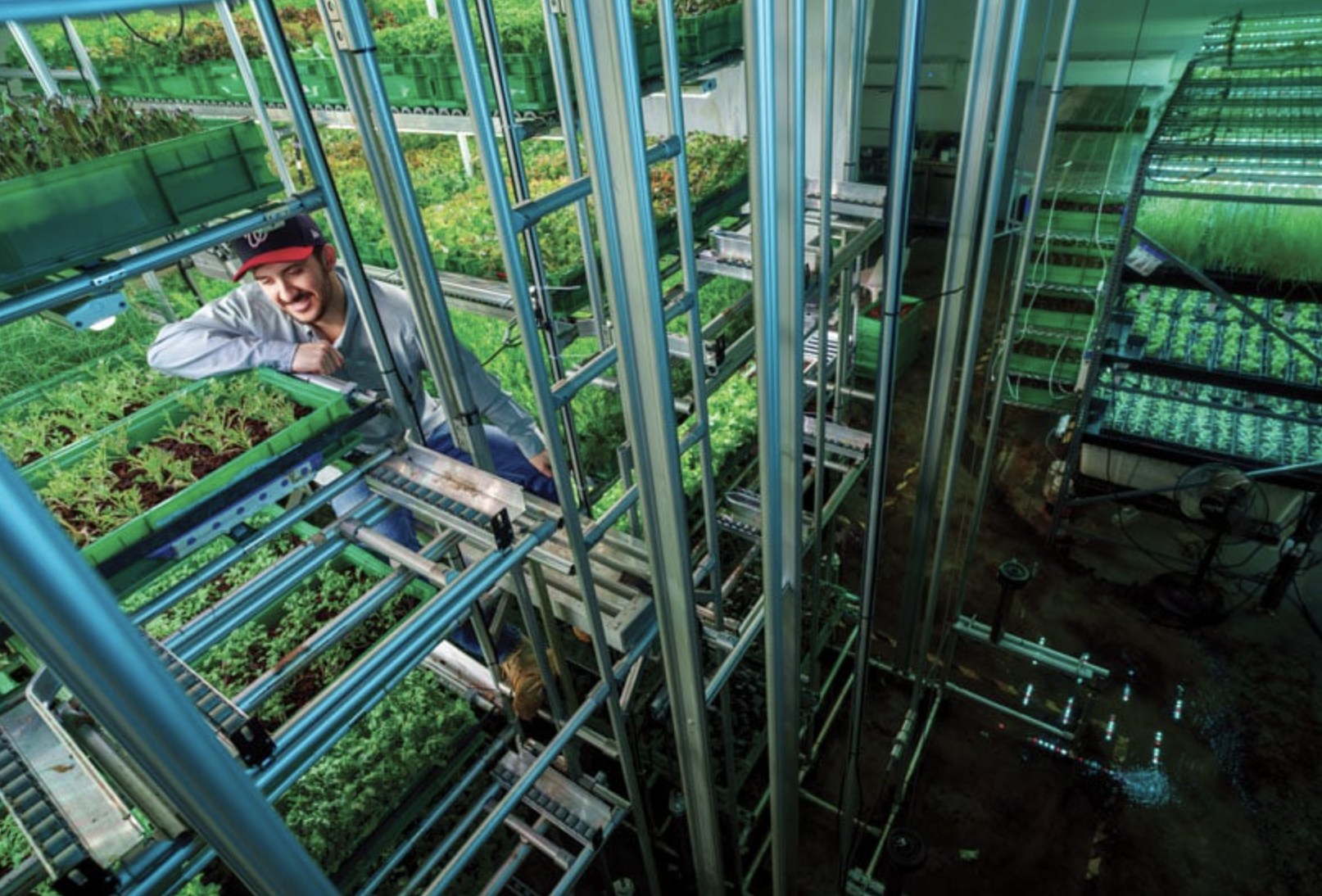 Inside an Area 2 Farms location showing the Silo vertical growing system with organic greens