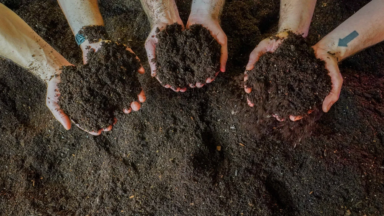 Area 2 Farms franchise training in soil-based organic growing methods