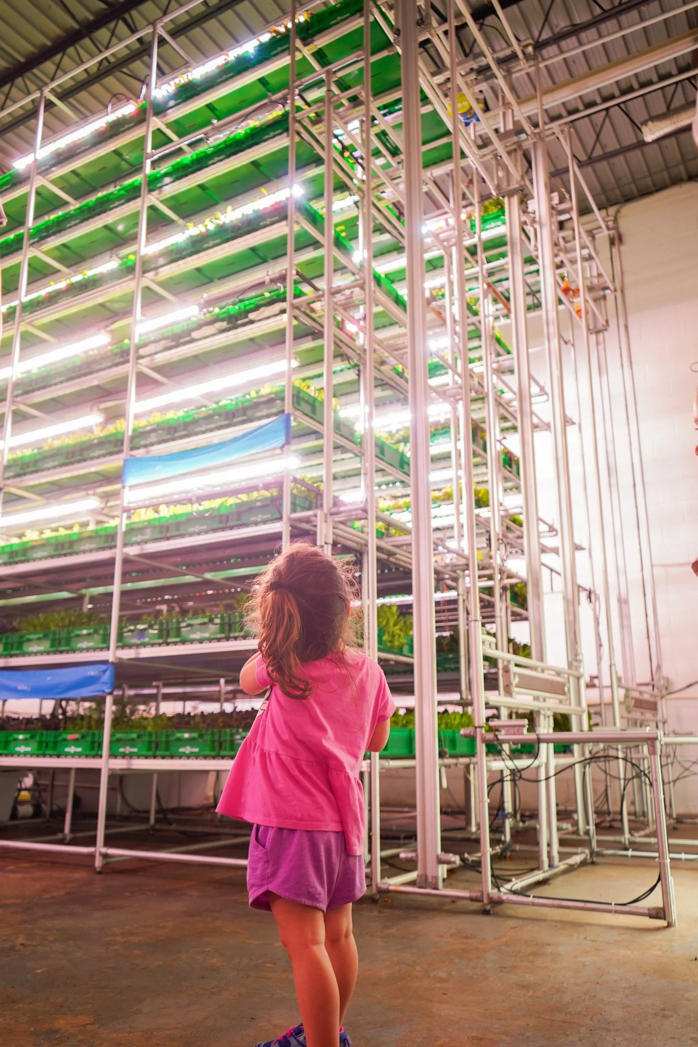 Area 2 Farms SILO system, growing organic produce for the community