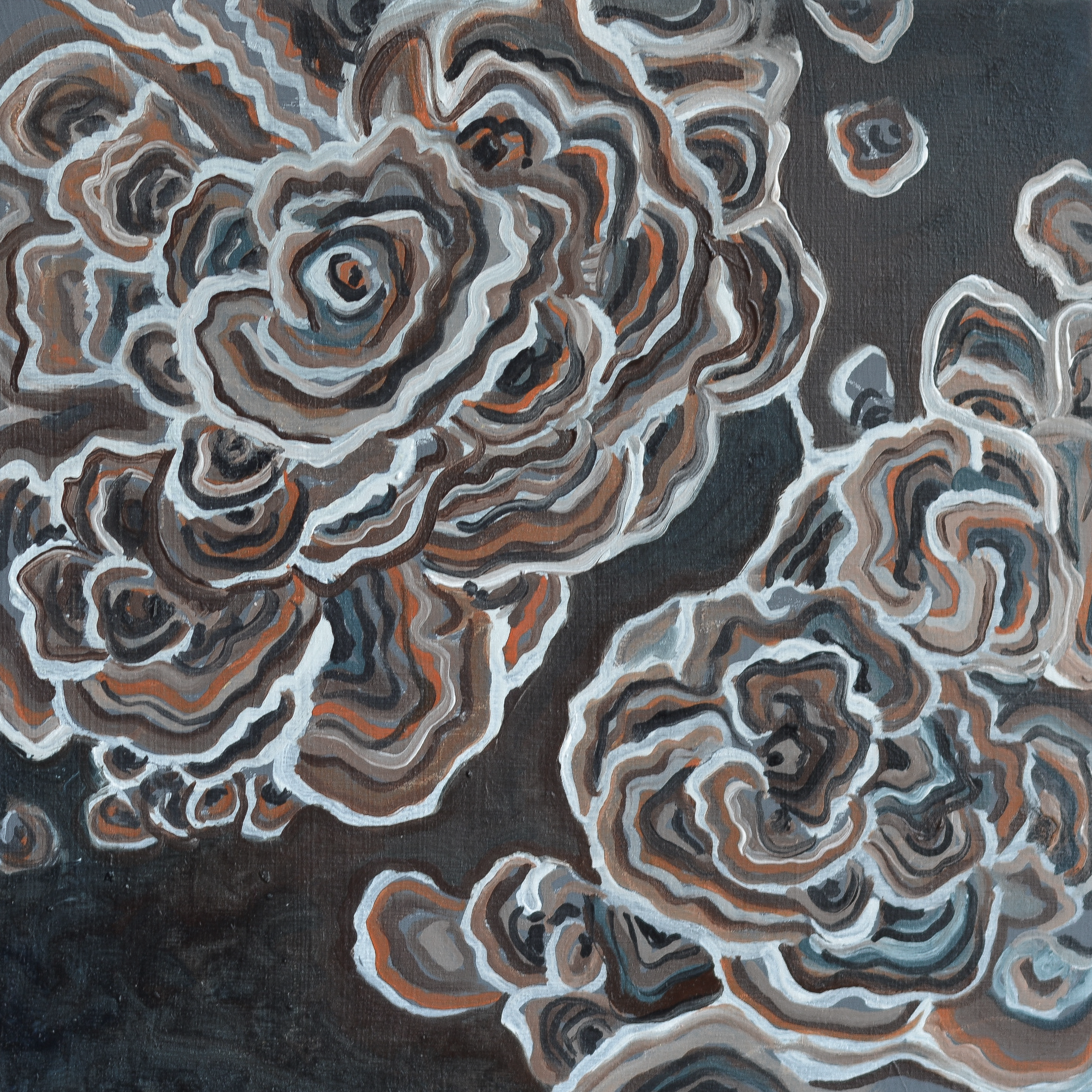 Turkey Tails | 8"x8" | Oil on Birch Panel | $135