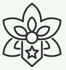 A simple line drawing of a flower with five petals, a center circle, and a star on the bottom petal.