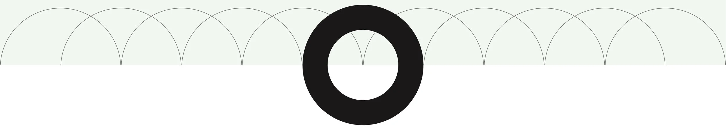 Graphic page element of a bold, black circle centered on the page, along with 8 hairline circles