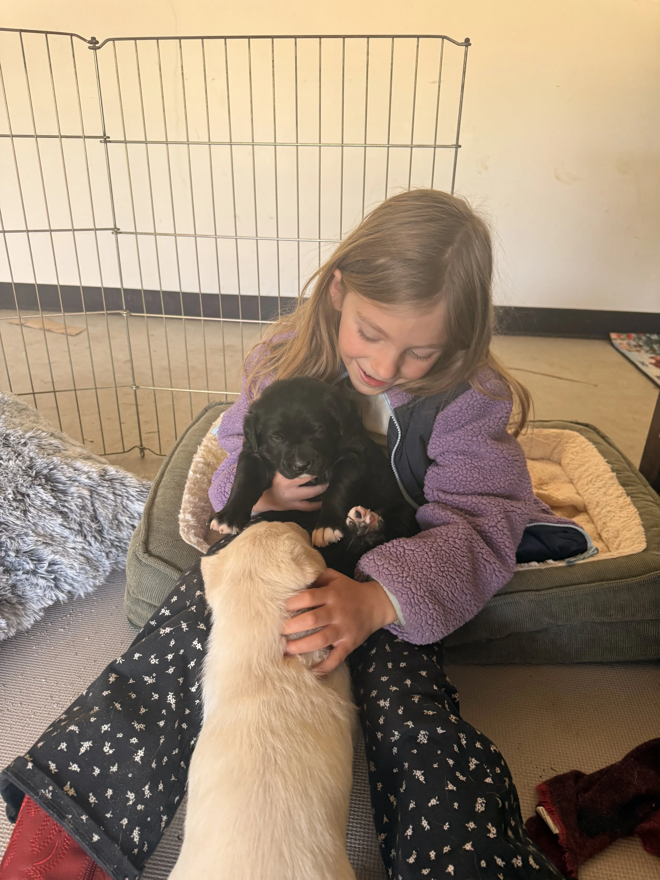 Rescue in Safe Hands
Every animal that comes to Outlaw Ranch Sanctuary is welcomed with patience, protection, and love from our entire family.