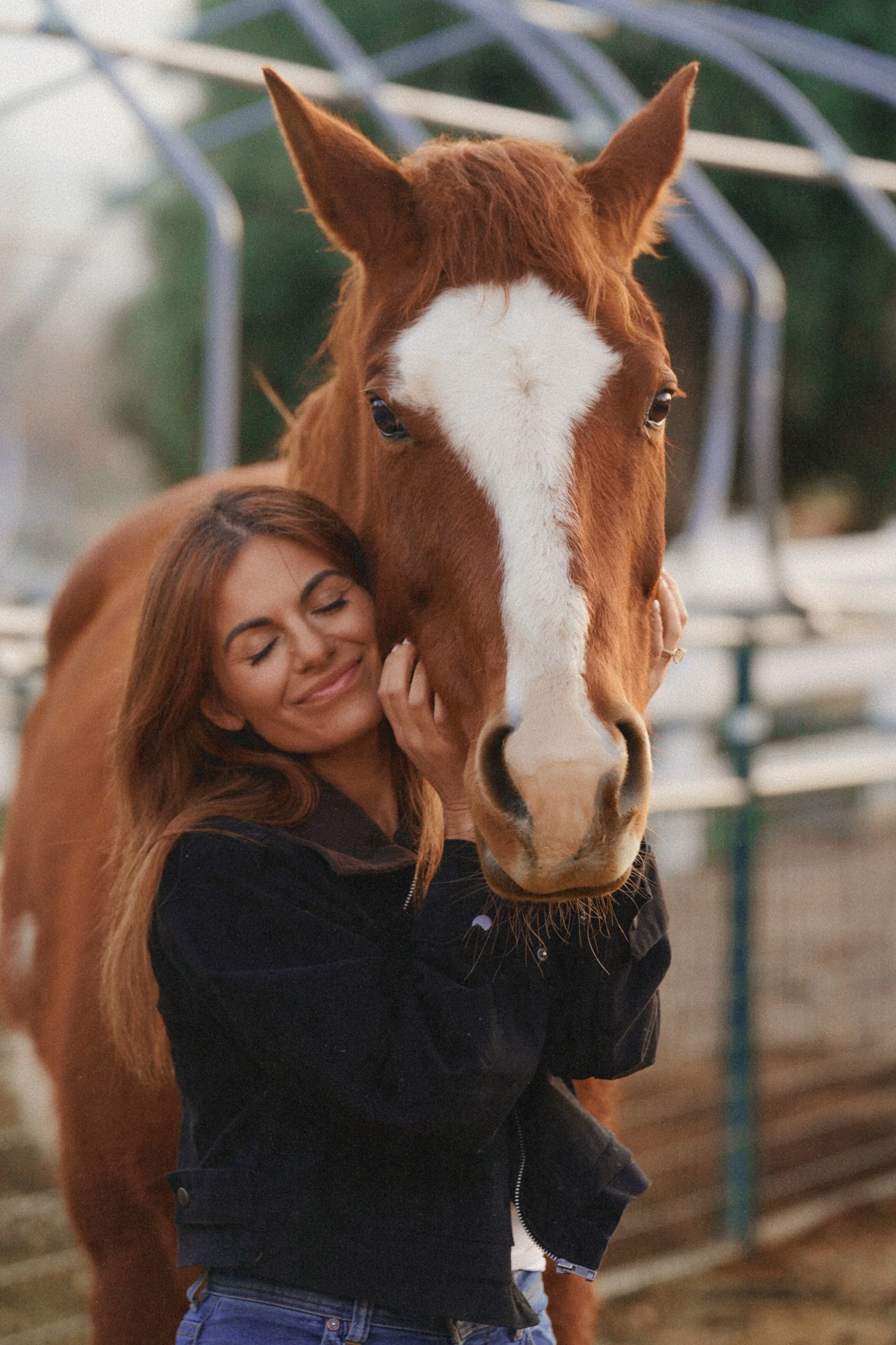 Rescue Horse • Permanent Resident

We rescued Spirit with severe chronic laminitis caused by prolonged neglect. She now receives specialized hoof care and ongoing veterinary support to live comfortably and safely for life.