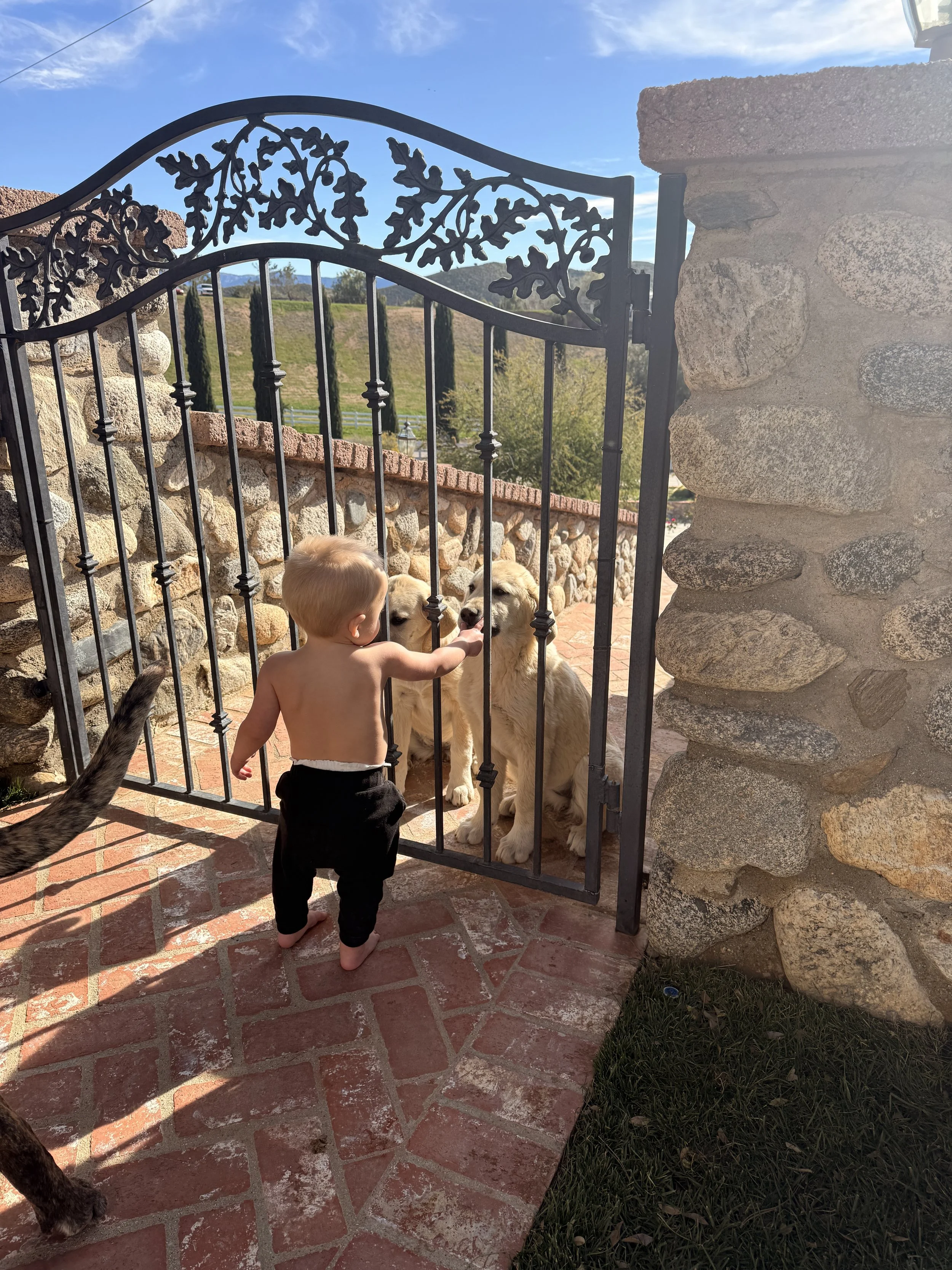 Our kids don’t just grow up here — they grow with the animals.
From feeding time to daily chores, they’re learning compassion, responsibility, and what it means to protect those who can’t protect themselves.