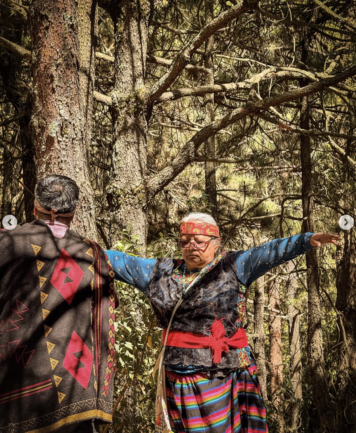 Captura de pantalla 2026-02-05 a la(s) 12.06.25 p.m..png