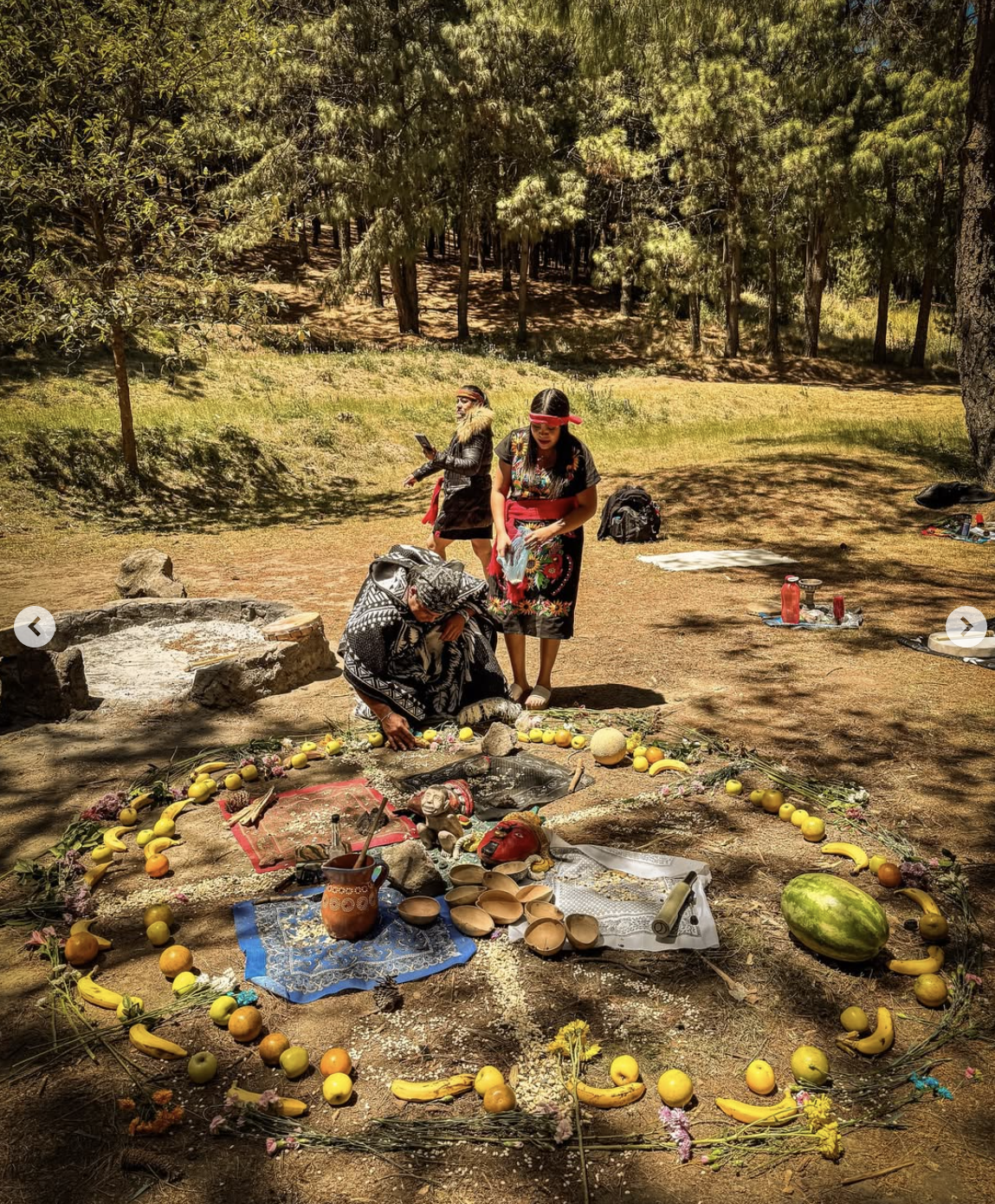 Captura de pantalla 2026-02-05 a la(s) 12.06.43 p.m..png