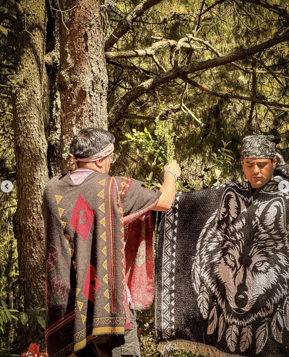 Captura de pantalla 2026-02-05 a la(s) 12.06.15 p.m..png