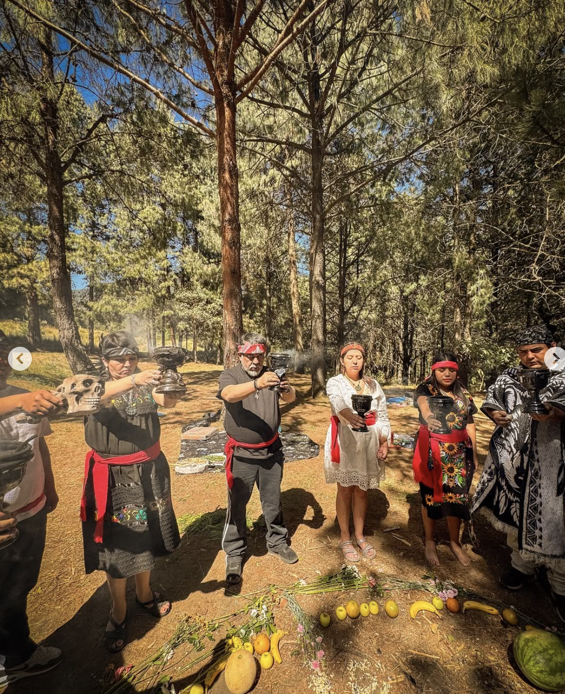 Captura de pantalla 2026-02-05 a la(s) 12.05.57 p.m..png