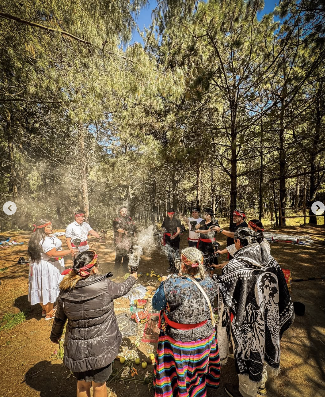 Captura de pantalla 2026-02-05 a la(s) 12.05.59 p.m..png