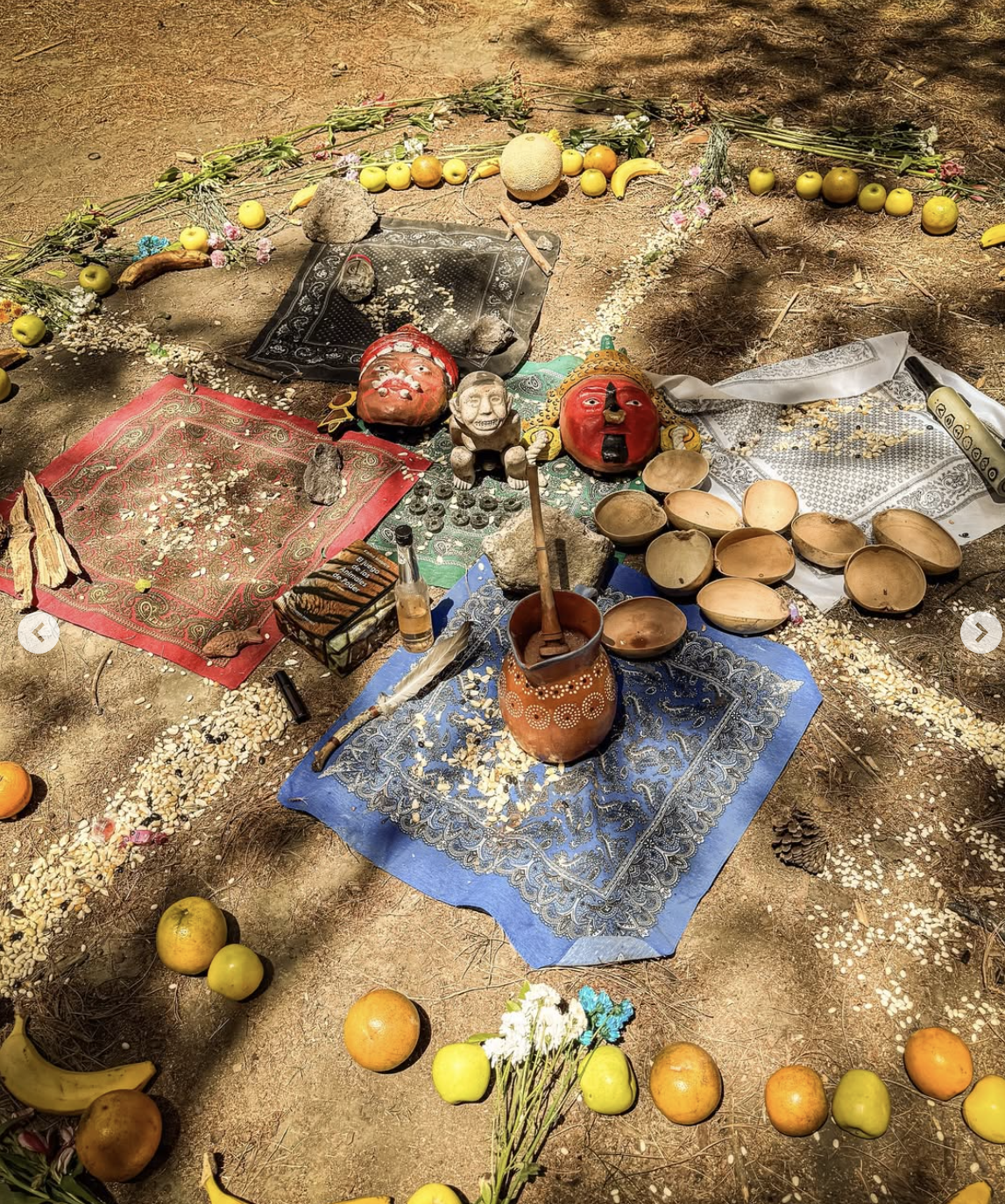 Captura de pantalla 2026-02-05 a la(s) 12.06.49 p.m..png