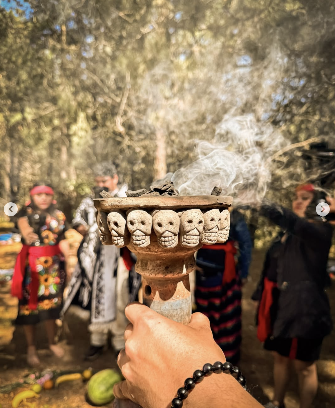 Captura de pantalla 2026-02-05 a la(s) 12.05.47 p.m..png