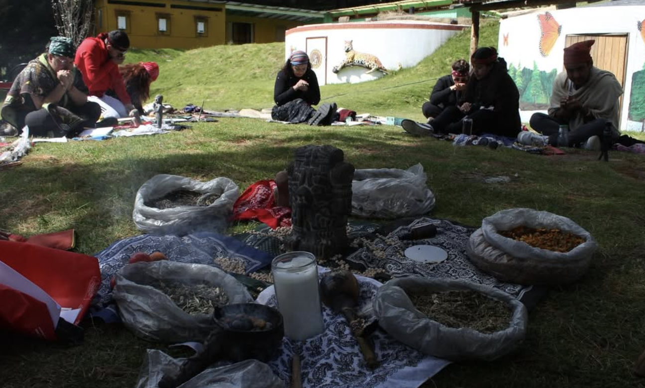 Captura de pantalla 2026-02-05 a la(s) 12.21.58 p.m..png