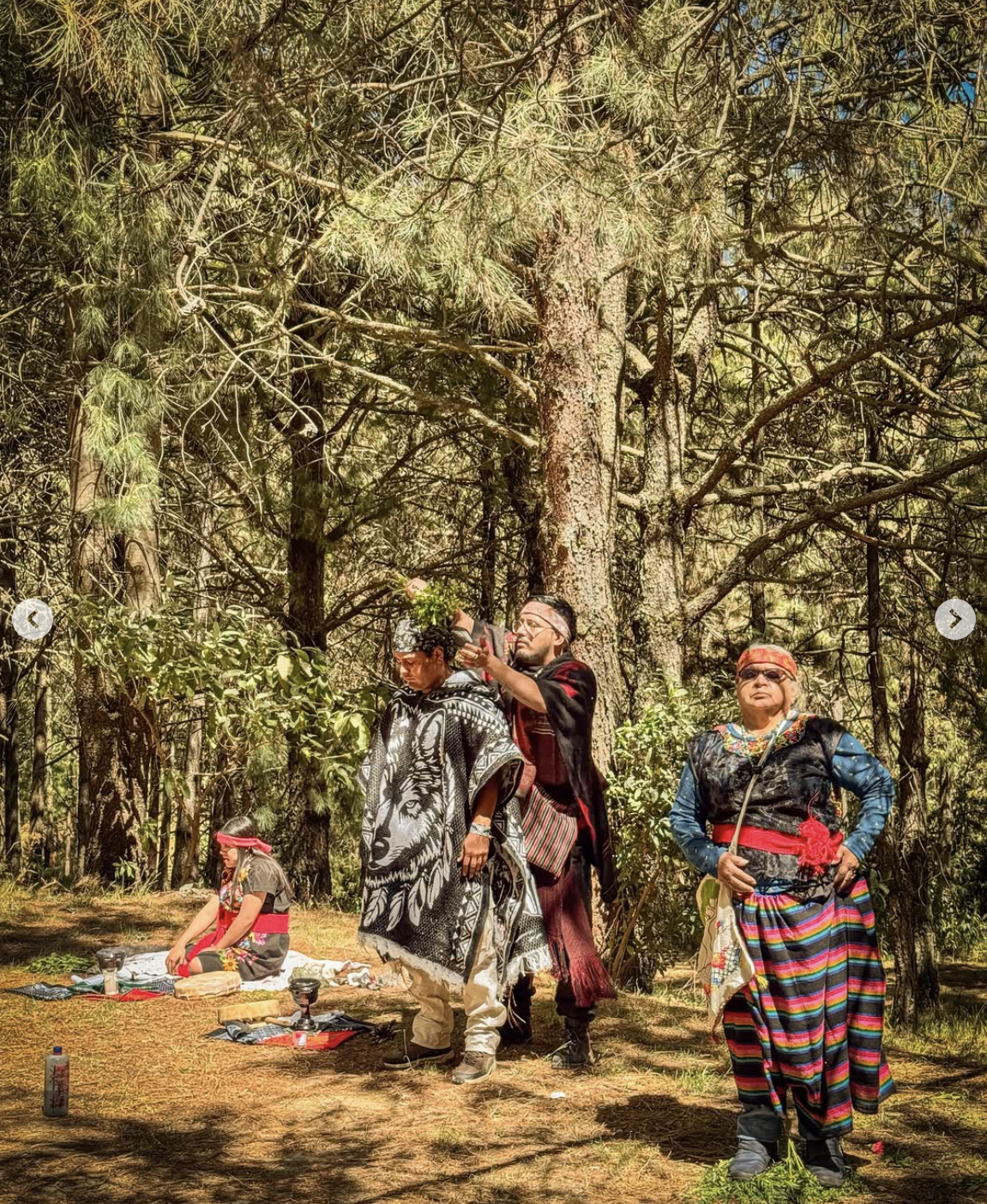 Captura de pantalla 2026-02-05 a la(s) 12.06.18 p.m..png