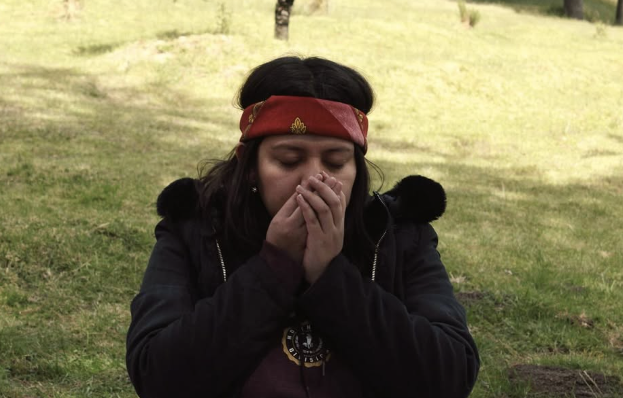 Captura de pantalla 2026-02-05 a la(s) 12.21.55 p.m..png