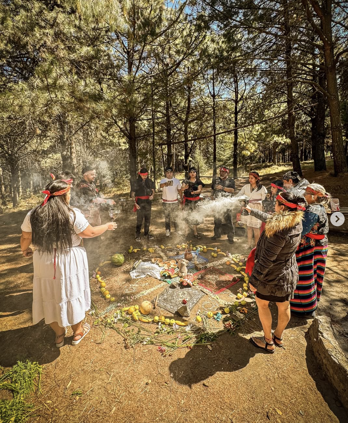 Captura de pantalla 2026-02-05 a la(s) 12.05.44 p.m..png