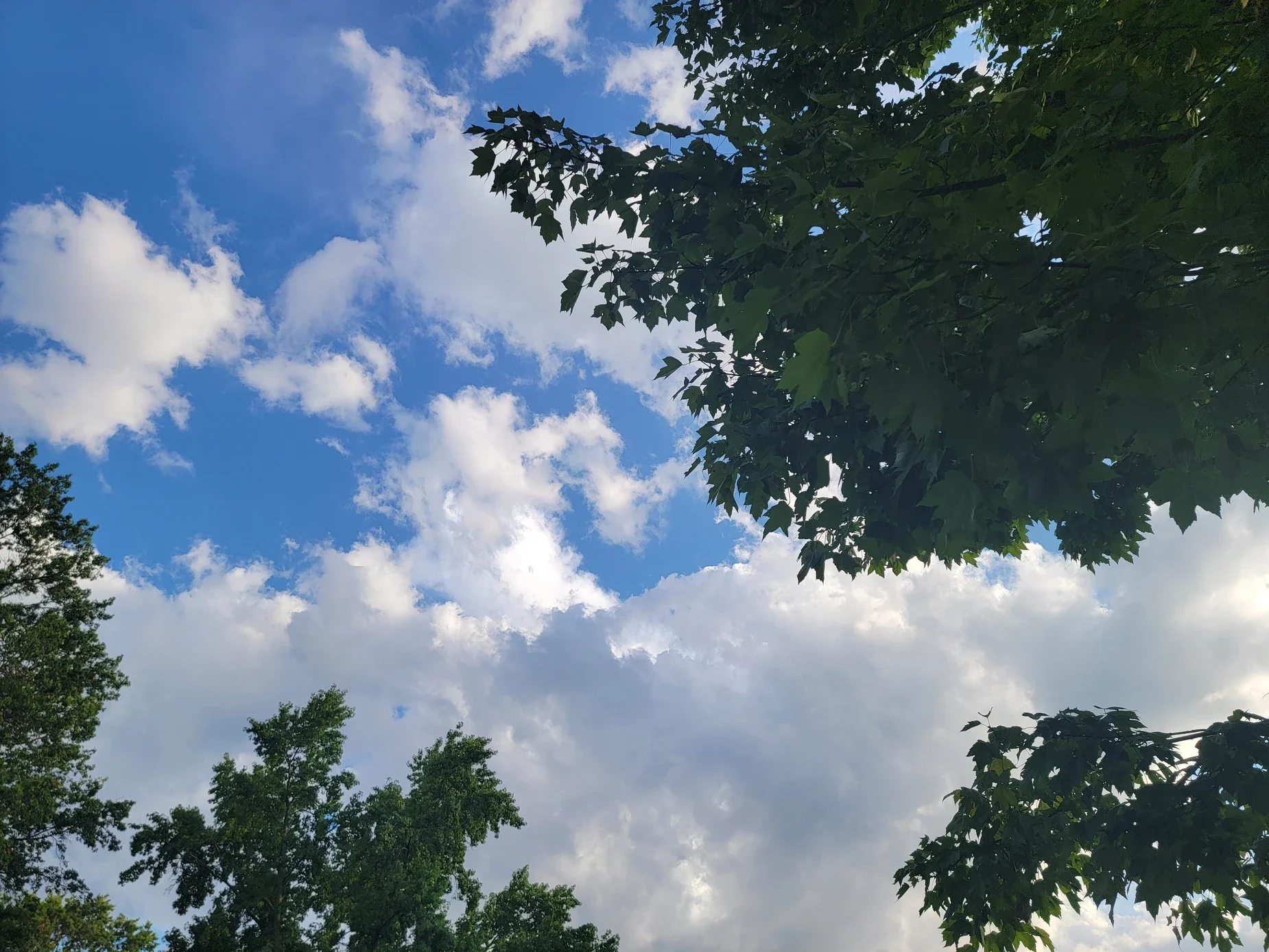 Breaking Free from Comparison – Embracing Your Unique Journey