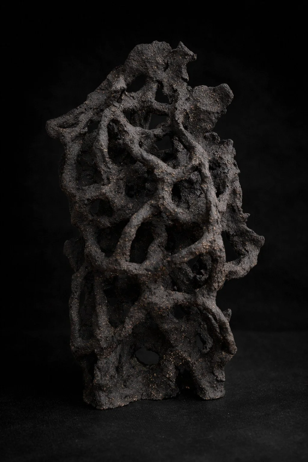 Anatomía del vacío