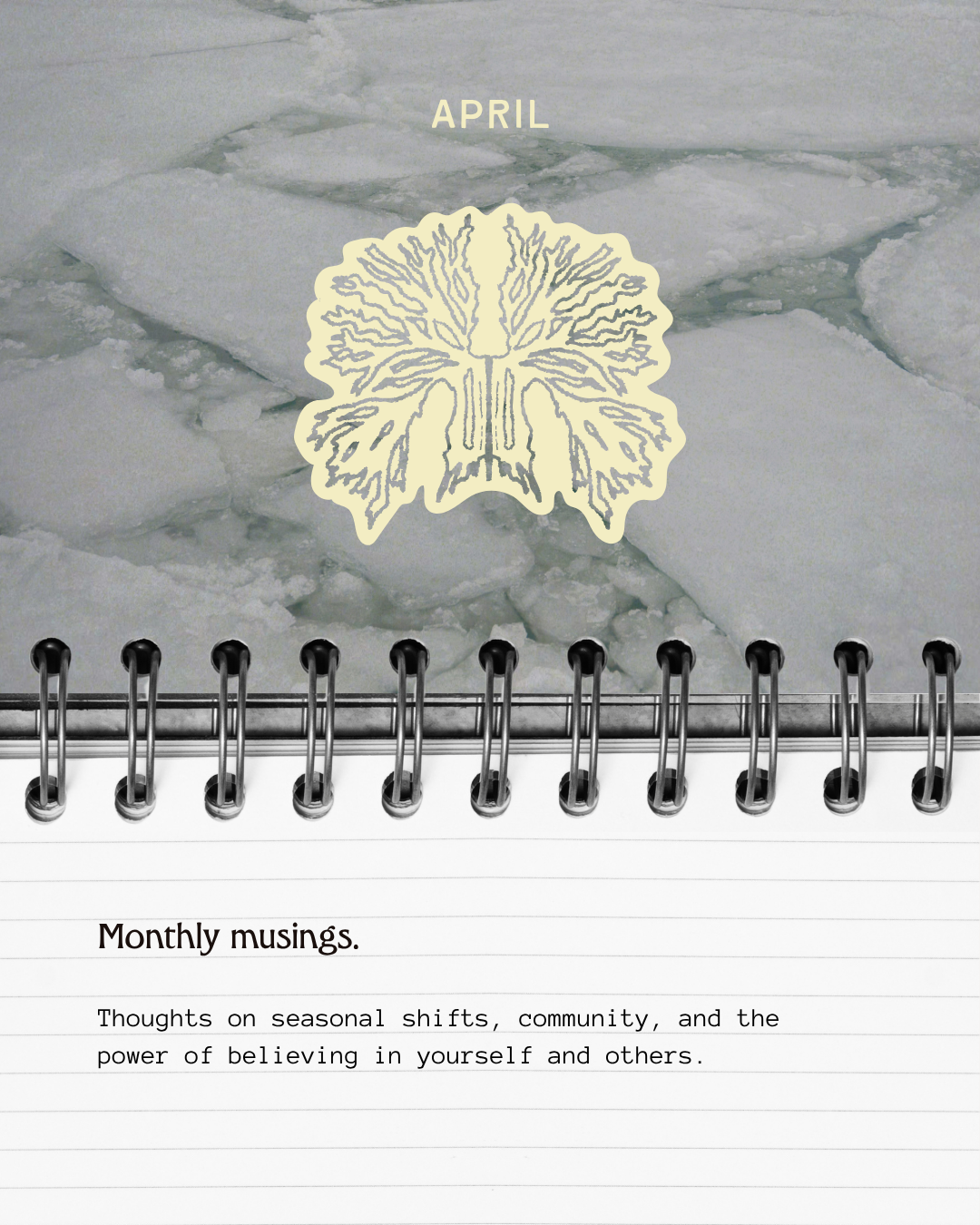 Monthly Musings - Founder or Practitioner 1 - Cover.png
