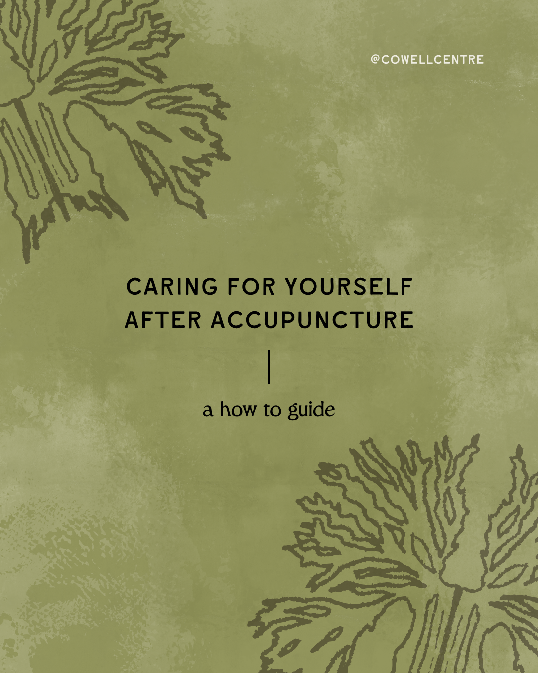 Tips _ Guidance Carousel - 1.png