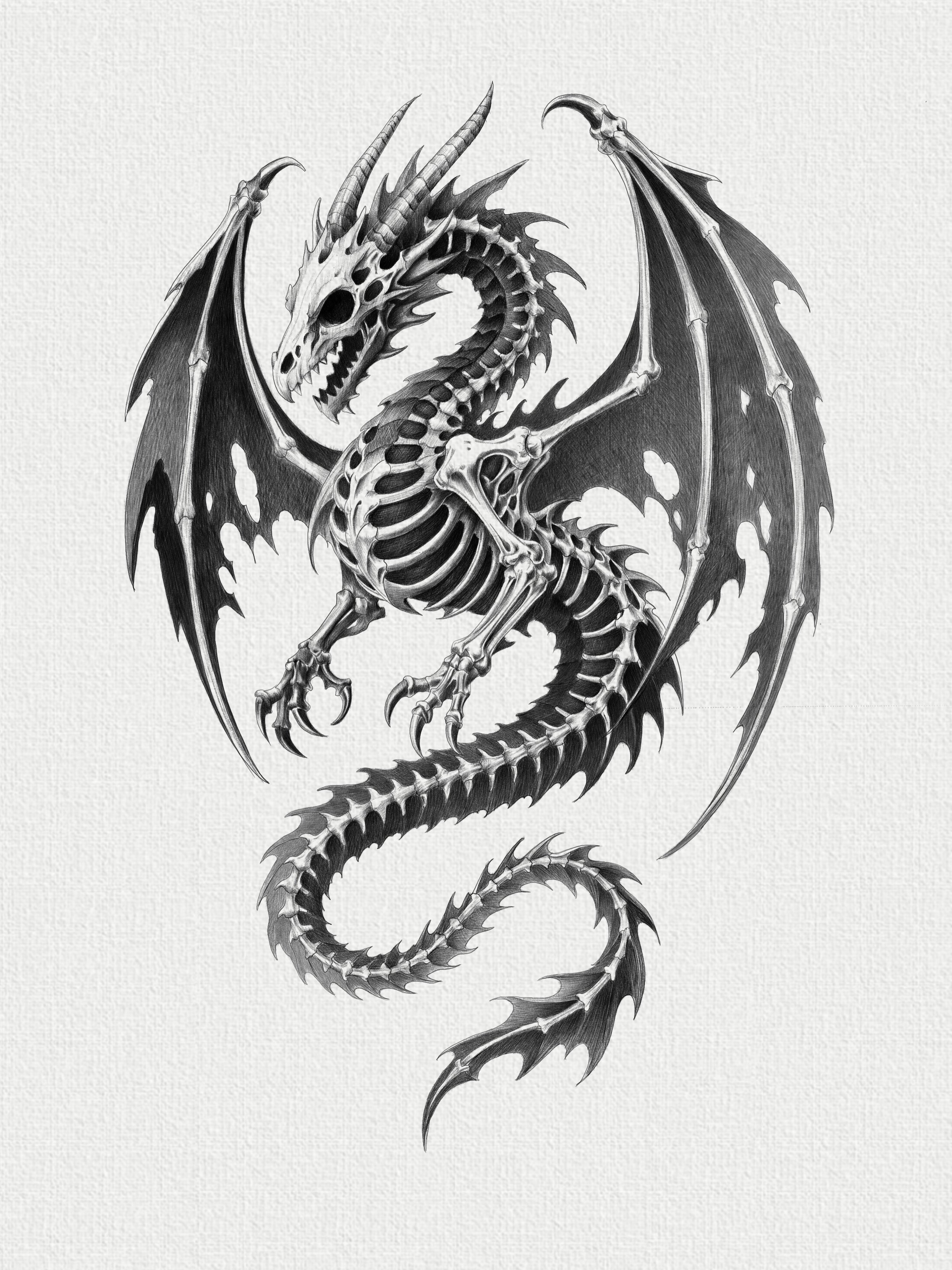 Born from bone. Built to endure.

A skeletal dragon concept forged for black &amp; grey tattoos.

Available to tattoo in NYC.
DM for booking.