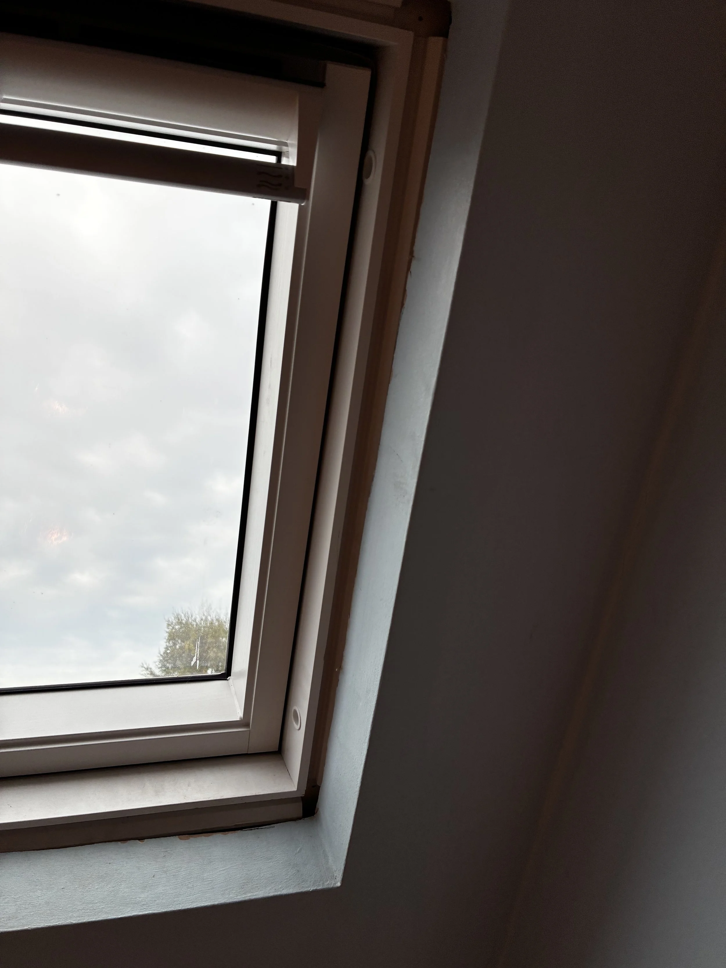 Image of a window with a view of a cloudy sky and trees outside, set in a white window frame.