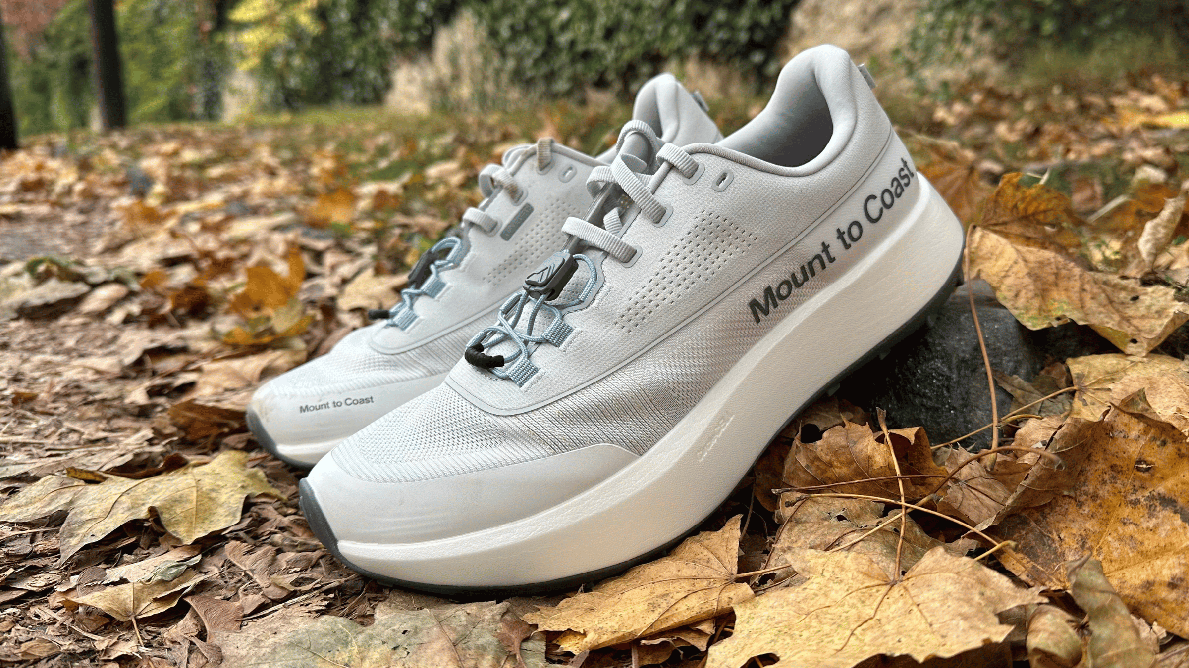 White athletic shoes with gray laces and black text that reads 'Mount to Coast' are placed on a bed of fallen autumn leaves, with trees and greenery in the background.