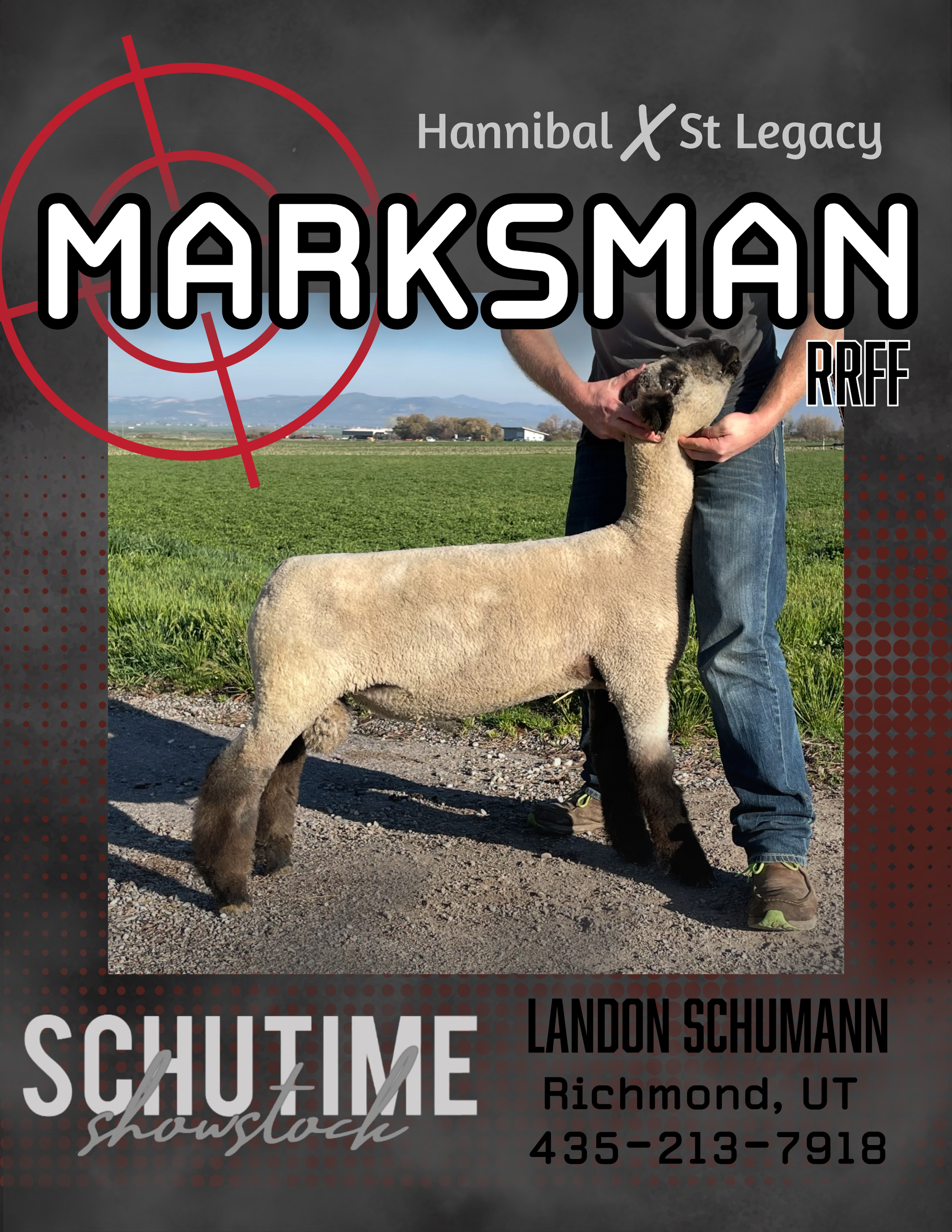 A person holding a sheep in a field with a distant mountain view, promoting a sheep show.