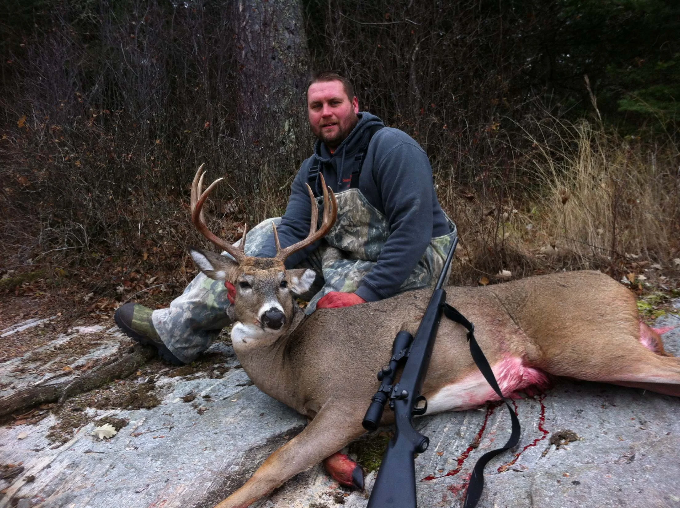 COVELL-DEER-4.jpg