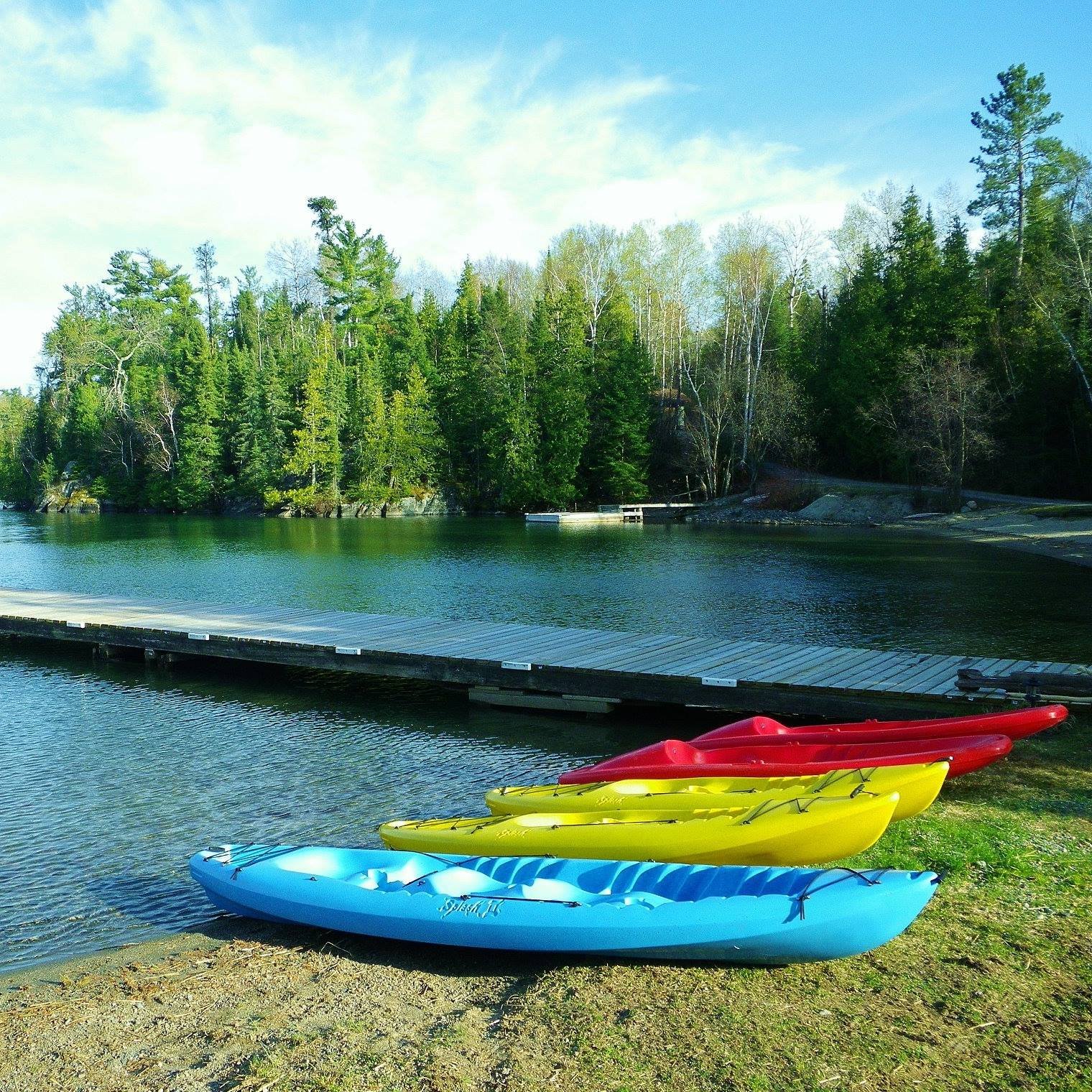 Colorful kayaks in red, yellow, blue, and turquoise are lined up on grassy shore near calm lake water, with a forested area and a dock in the background under a partly cloudy sky.