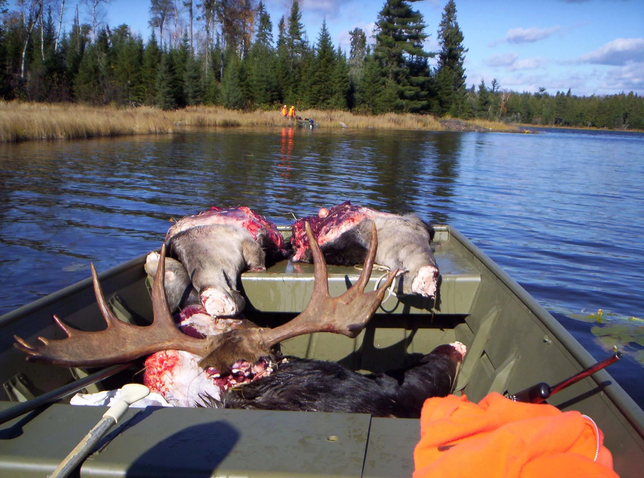 HAULING THE MOOSE.jpg