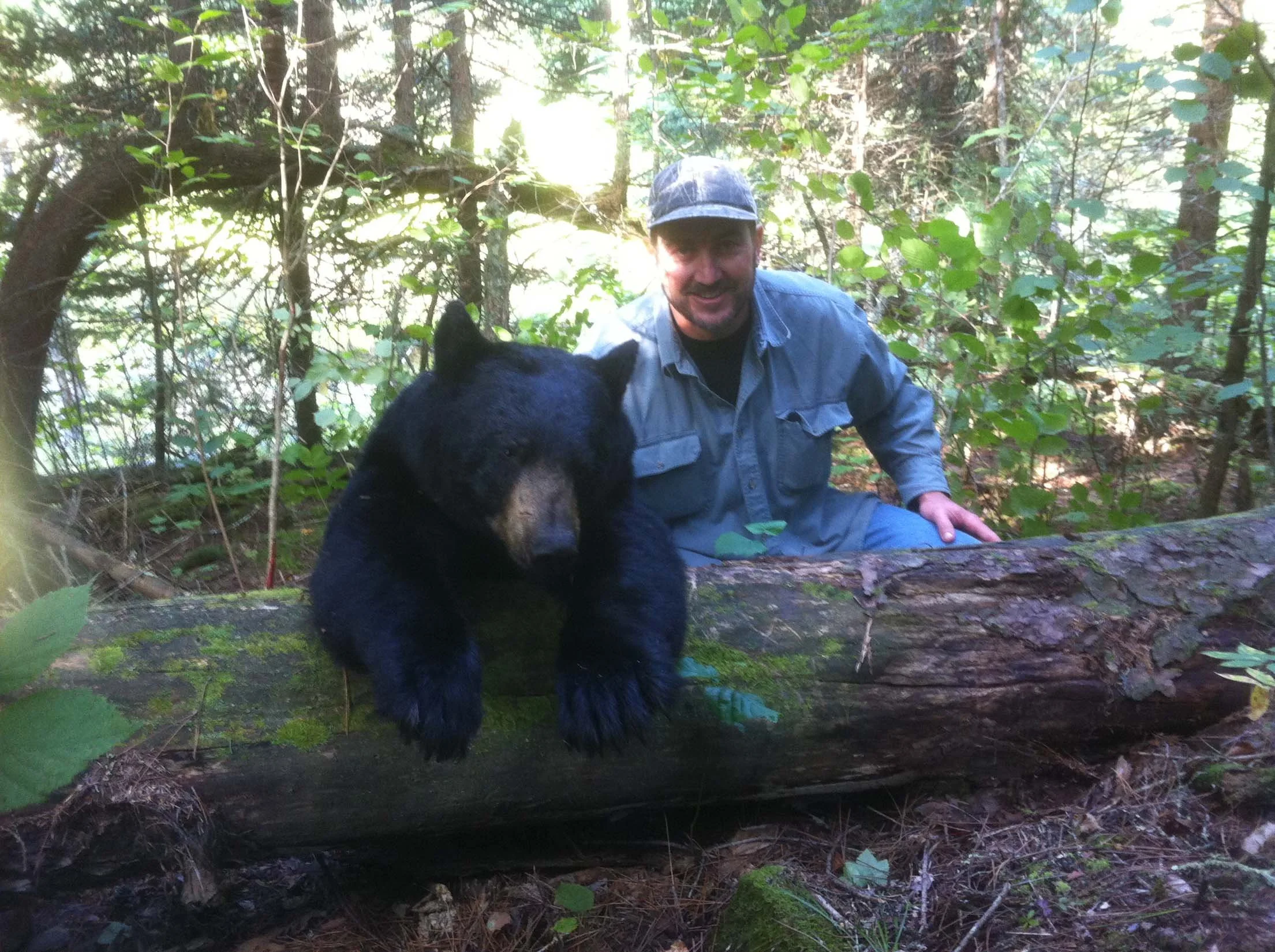 crabb-bear1HWL.jpg
