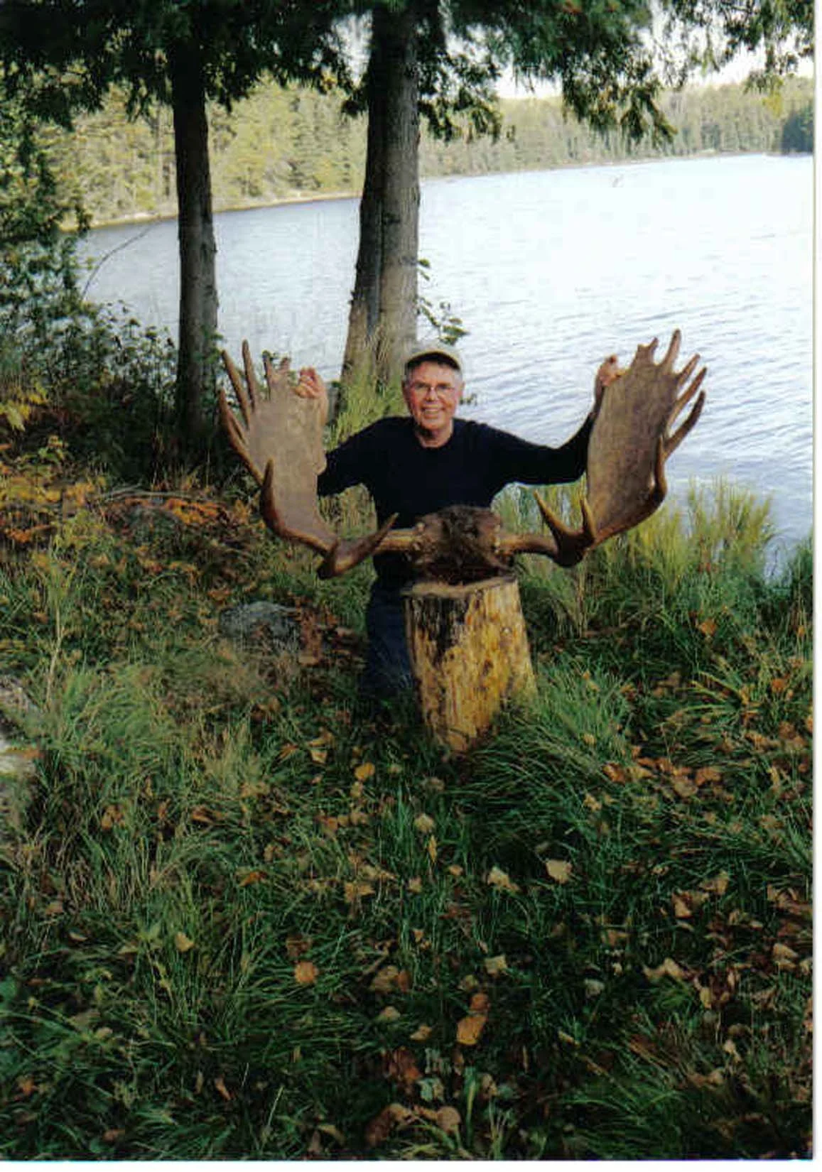 MOOSE-1.jpg